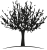 tree4
